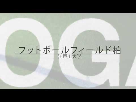 フットボールフィールド柏