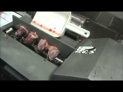 download lagu mp3 mp4 Turkey Hearts For Sale, download lagu Turkey Hearts For Sale gratis, unduh video klip Turkey Hearts For Sale