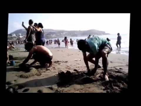 video playa 2015