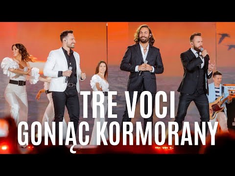 TRE VOCI | Goniąc kormorany (lipiec 2022)