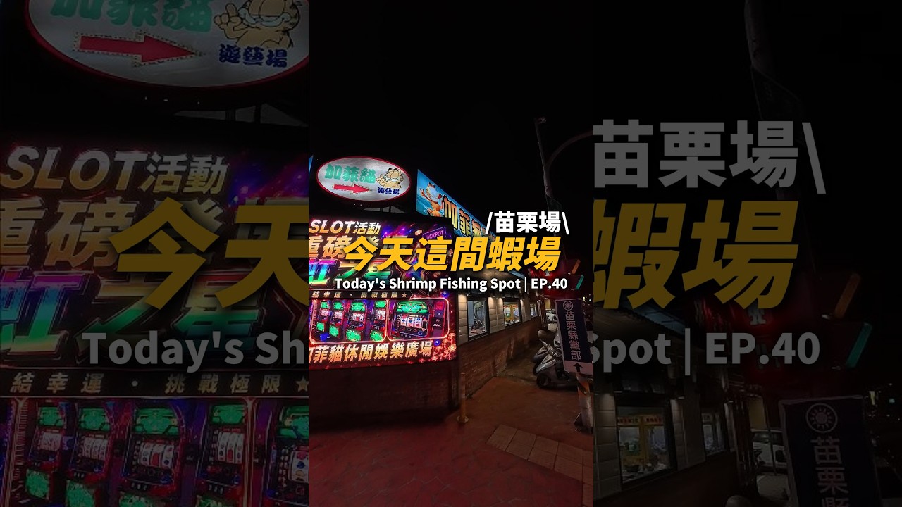 今天這間蝦場EP.40【MLS蝦戰天下】#17shrimp #台湾のエビ釣り #shrimpfishing #새우낚시