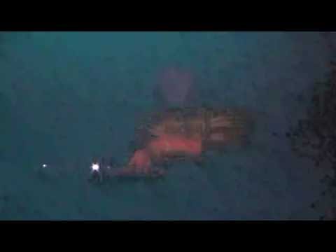 Lunatic @ Ground Zero Festival 2016 Blackout