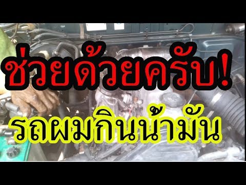 พลาสติกผลกระทบสมาชิกบังเหียน ได้อย่างง่ายดายเริ่มต้นผู้หญิง