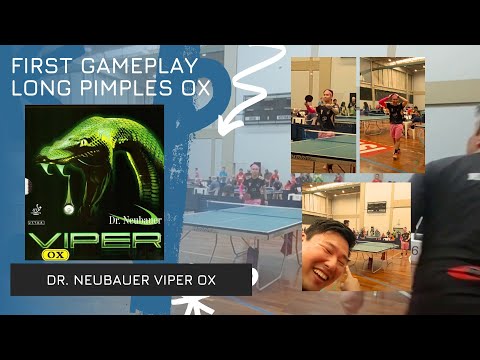 Dr. Neubauer Viper Ox - First Gameplay Long Pimples Close to the table