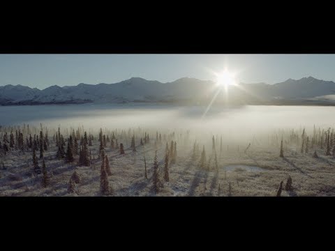 Видеообзор