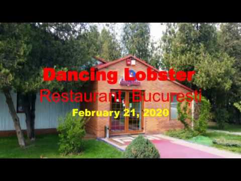 Fado Night At Dancing Lobster