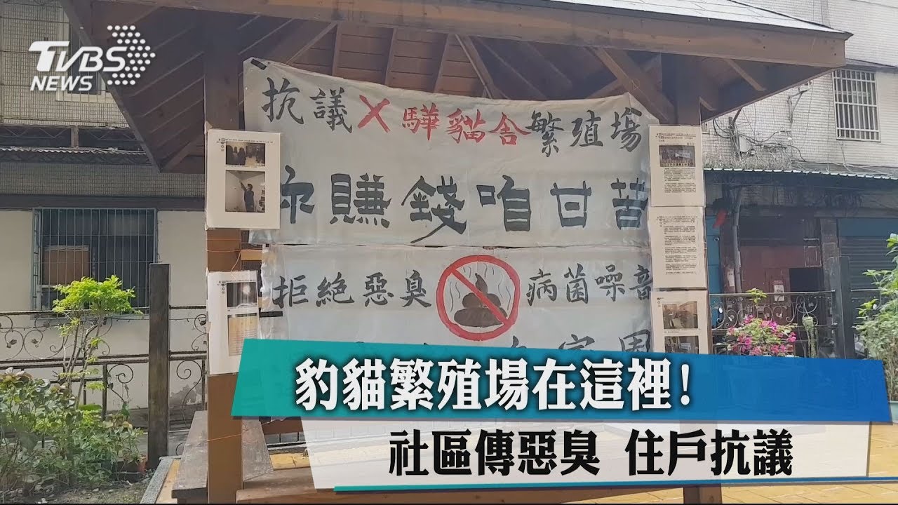 豹貓繁殖場在這裡! 社區傳惡臭住戶抗議