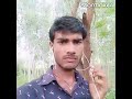 Mughe Jeene Nahi Deti Hai Yad Teri Love Song