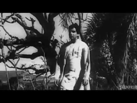 AYE DIL MUJHE AISI JAGAH LE CHAL (INSTRUMENTAL) BY- UDAY M. NAKAR