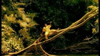 Jimmy Cliff "Humanitarian" video clip