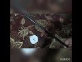 Destroying A Super Z DVD
