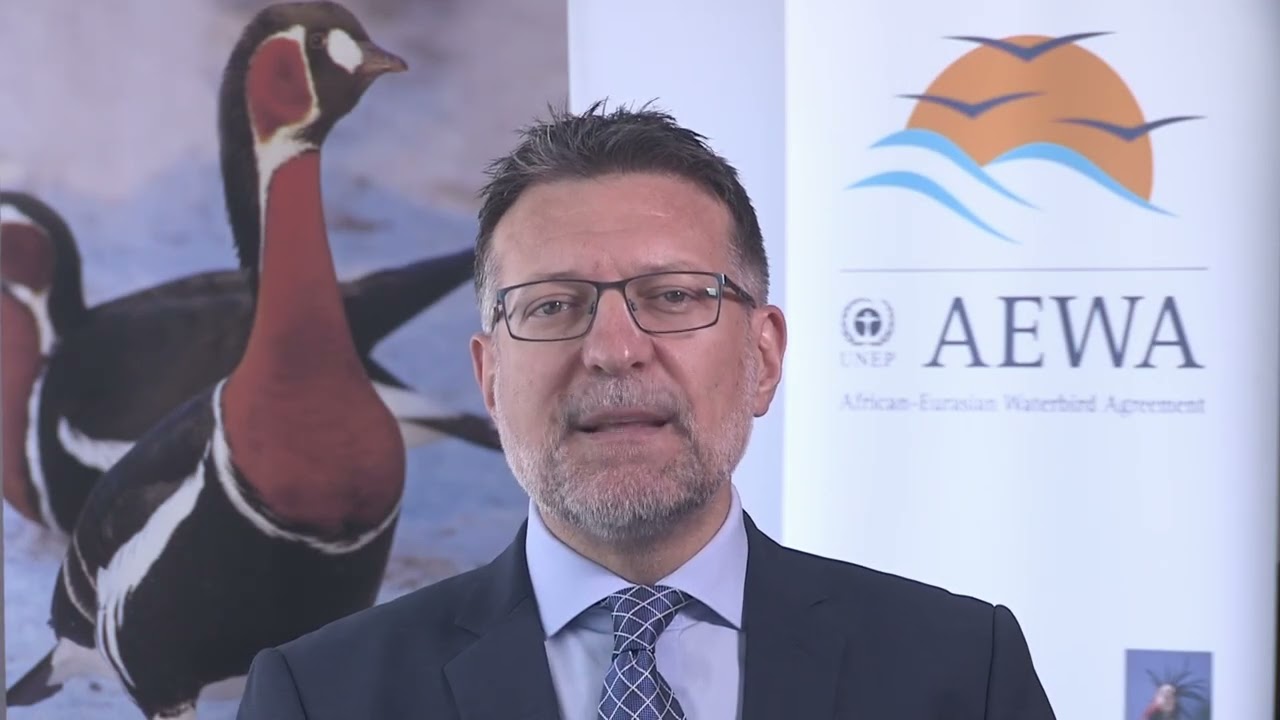 Message of Sergey Dereliev, AEWA Acting Executive Secretary to mark World Migratory Bird Day 2026