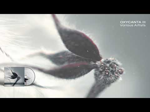 VA - Oxycanta III - 09 Morning Drops Part 2 (feat Björn Berglun) by I AWAKE