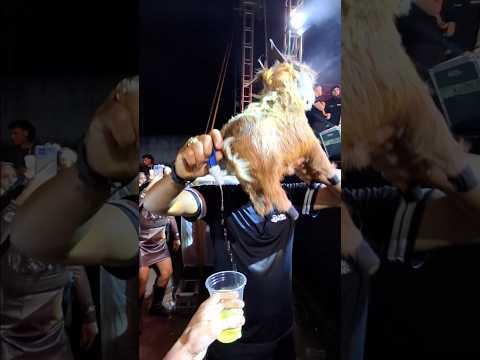 Festa do Vaqueiro 2026 em Maiquinique-BA ,  foi muita loucura