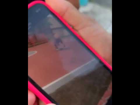 @__chenpr - RÍP - @lilcottopr @pompomiller @constante.hdf @odlaniermc @soygiovan (tiraera)