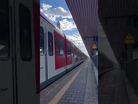 S3(Baureihe 423)nach Bad Soden in Frankfurt mit Makro