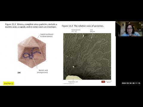 Chs 11 and 13 Parts 2-3 Bacteria, Viruses, and Prions