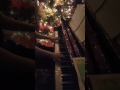 Mason playing Escapades of Pan by David Lanz