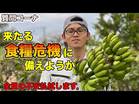 , title : '【バナナ質問②】みんなの疑問や質問，不安に全部答える！バナナを植えて食糧危機に備えよう【バナナの育て方】Banana cultivation Answer all your questions.'
