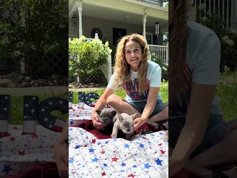 Video 1
