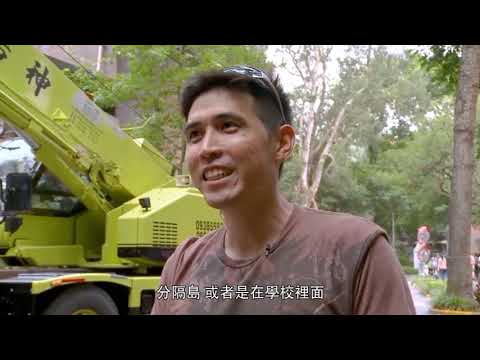 城市遊俠 - 鳳頭蒼鷹