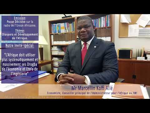Apport de la disspora...... . L'Economiste Koffi Allé  se prononce