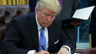 It’s no surprise that Donald Trump is an unusual, and unfavorable, president. Just three days after being sworn in as the leader of the free world, Trump signed several executive orders in front of the press. He then made the rookie mistake of holding up the folder displaying his signature on the order, and a meme was born. As a guy who is easily and often made fun of, the Internet exploded with gifs of Trump and his folder displaying words like “anime is now illegal," an album of Pokemon cards, doodles that looks like they came straight from a preschooler, and even an order declaring the construction of a National Harambe Memorial. Trump’s first order of business is the meme that keeps on giving. —Elizabeth Gulino

