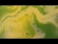 Wet Paint 1