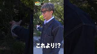 【木村さ〜〜ん！】木村拓哉ライブ翌日に福岡でお礼参り！自然と共生する「太宰府天満宮」へ！土曜の22時は木村さ〜〜ん！⭐️