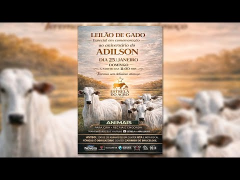 LEILÃO GADO DE CORTE ESTRELA DO AGRO LEILÕES  FAINA-GO 25/01/2026 | Leilão ao Vivo - Leilão de Gado