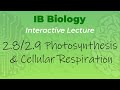 IB Biology 2.8 & 2.9 - Photosynthesis & Cellular Respiration - Interactive Lecture
