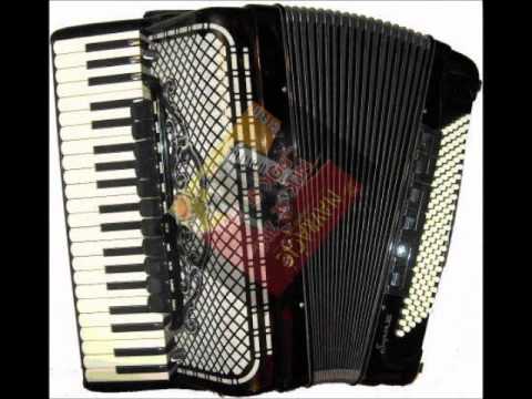 Navracic Band - Pijana Dusa.wmv