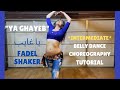 Ya Ghayeb Belly Dance Choreography Tutorial يا غايب فضل شاكر Poso Mou Lipis Sotis Volan