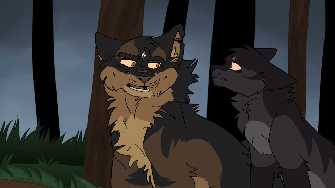Tigerstar is Darkstripe’s pookie