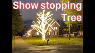 Tips from a Pro- Christmas Light Series (8/10) How to hang Christmas lights on a giant tree.