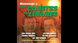 Los Autenticos De Linares - Playas Negras
