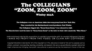 ZOOM ZOOM ZOOM - The COLLEGIANS