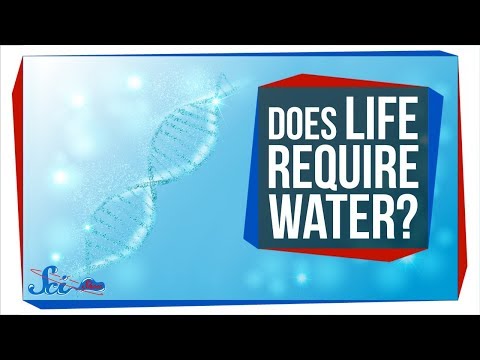 たぶん人生は水を必要としない、すべての後に (Maybe Life Doesn't Need Water, After All)
