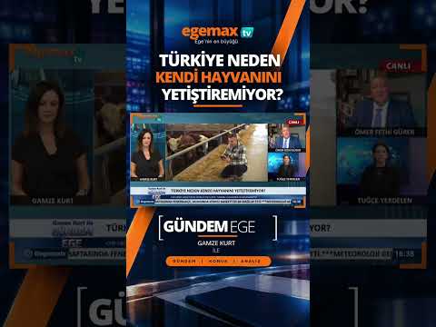 Türkiye neden kendi hayvanını yetiştiremiyor? Hayvancılıkta üretimin önündeki sorunlar neler?