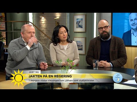 Oklart politiskt läge även efter regeringsbildning: ”På sikt är det här föröda… - Nyhetsmorgon (TV4)