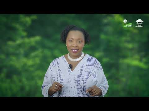 Éliane Ubalijoro -  CIFOR-ICRAF Short Video on AI for Agriculture Transformation.