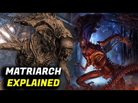 The Matriarch Xenomorph Explained Oldest Xenomorph Queen