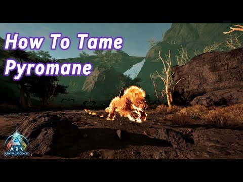 Easy Way To Tame A Pyromane | Ark: Survival Ascended