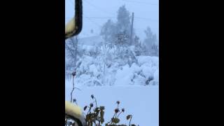 preview picture of video 'الثلج في عجلون - عبين'