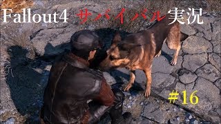 【Fallout4】フォールアウト4ぬるっとサバイバルモード実況#16【MOD有り】