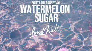 Watermelon Sugar Music Video