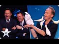 IM-PECK-ABLE! MAGIC is in the air with King of Birds Håkan Berg! | Semi-Finals | BGT 2020