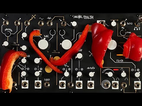 Make Noise Strega Module 2021 - Present - Black image 7