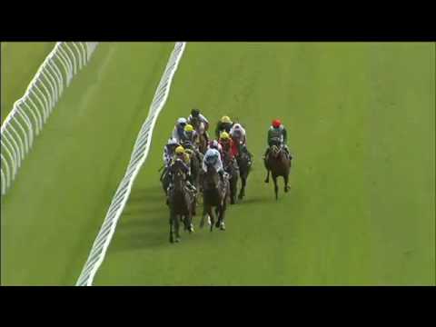 2016.06.11 Brisbane Cup (AUS) - Benzini