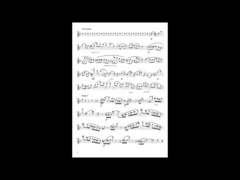 Doppler Rondo Flute Duet Playalong (piano accompaniment and 2nd flute part)